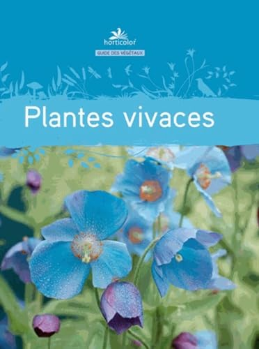 Plantes vivaces