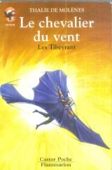 Le chevalier du vent