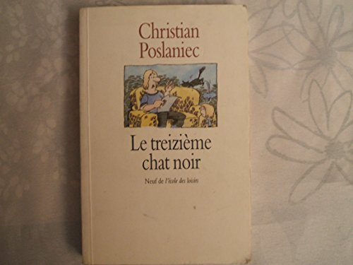 Le treizième chat noir