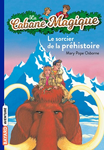 Le sorcier de la Préhistoire