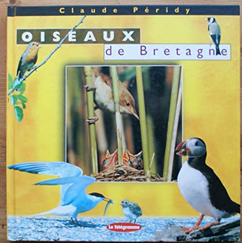 Oiseaux de Bretagne