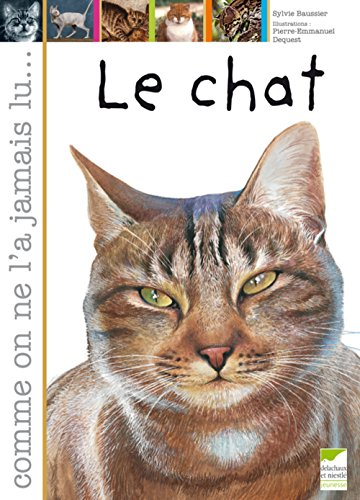 Le chat