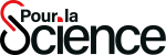 Pour la science 504