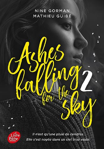 Ashes falling for the sky 2