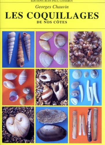 Les coquillages de nos côtes